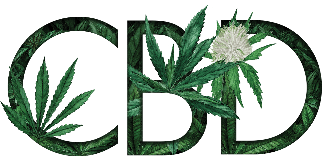 img_cbd_hemp_font img_cbd_hemp_font