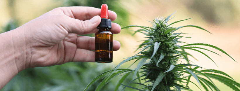 Using CBD